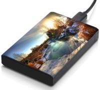 meSleep HD30149 Hard Disk Skin(Multicolor)   Laptop Accessories  (meSleep)