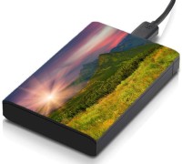 meSleep HD33355 Hard Disk Skin(Multicolor)   Laptop Accessories  (meSleep)