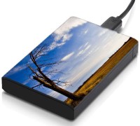 meSleep HD24038 Hard Disk Skin(Multicolor)   Laptop Accessories  (meSleep)