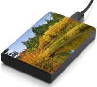 meSleep HD32184 Hard Disk Skin(Multicolor)   Laptop Accessories  (meSleep)