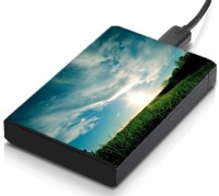 meSleep HD41305 Hard Disk Skin(Multicolor)   Laptop Accessories  (meSleep)