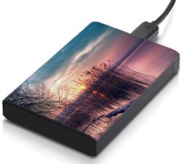 meSleep HD45397 Hard Disk Skin(Multicolor)   Laptop Accessories  (meSleep)