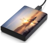 meSleep HD46154 Hard Disk Skin(Multicolor)   Laptop Accessories  (meSleep)