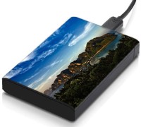 meSleep HD28157 Hard Disk Skin(Multicolor)   Laptop Accessories  (meSleep)