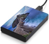 meSleep HD37283 Hard Disk Skin(Multicolor)   Laptop Accessories  (meSleep)