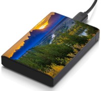 meSleep HD37198 Hard Disk Skin(Multicolor)   Laptop Accessories  (meSleep)