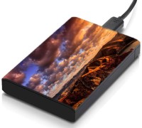 meSleep HD39346 Hard Disk Skin(Multicolor)   Laptop Accessories  (meSleep)