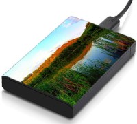 meSleep HD46001 Hard Disk Skin(Multicolor)   Laptop Accessories  (meSleep)