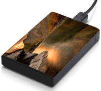 meSleep HD43080 Hard Disk Skin(Multicolor)   Laptop Accessories  (meSleep)