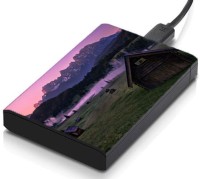 meSleep HD46230 Hard Disk Skin(Multicolor)   Laptop Accessories  (meSleep)
