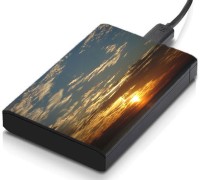 meSleep HD47119 Hard Disk Skin(Multicolor)   Laptop Accessories  (meSleep)