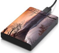 meSleep HD30330 Hard Disk Skin(Multicolor)   Laptop Accessories  (meSleep)