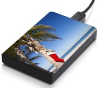 meSleep HD30323 Hard Disk Skin(Multicolor)   Laptop Accessories  (meSleep)