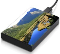 meSleep HD30059 Hard Disk Skin(Multicolor)   Laptop Accessories  (meSleep)