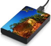 meSleep HD36396 Hard Disk Skin(Multicolor)   Laptop Accessories  (meSleep)