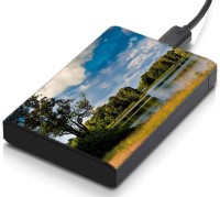 meSleep HD32232 Hard Disk Skin(Multicolor)   Laptop Accessories  (meSleep)