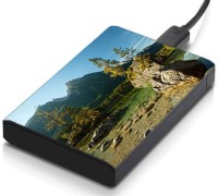 meSleep HD36285 Hard Disk Skin(Multicolor)   Laptop Accessories  (meSleep)