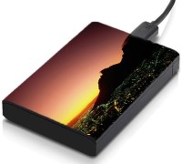 meSleep HD21182 Hard Disk Skin(Multicolor)   Laptop Accessories  (meSleep)