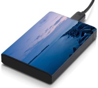 meSleep HD36259 Hard Disk Skin(Multicolor)   Laptop Accessories  (meSleep)