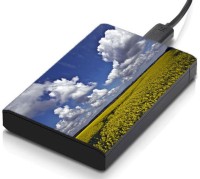 meSleep HD43281 Hard Disk Skin(Multicolor)   Laptop Accessories  (meSleep)