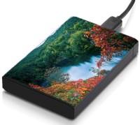 meSleep HD46016 Hard Disk Skin(Multicolor)   Laptop Accessories  (meSleep)