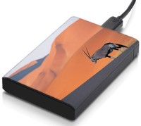 meSleep HD21230 Hard Disk Skin(Multicolor)   Laptop Accessories  (meSleep)