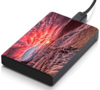 meSleep HD43243 Hard Disk Skin(Multicolor)   Laptop Accessories  (meSleep)