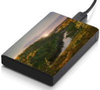 meSleep HD43223 Hard Disk Skin(Multicolor)   Laptop Accessories  (meSleep)