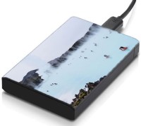 meSleep HD1781 Hard Disk Skin(Multicolor)   Laptop Accessories  (meSleep)