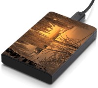 meSleep HD43049 Hard Disk Skin(Multicolor)   Laptop Accessories  (meSleep)