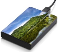 meSleep HD35182 Hard Disk Skin(Multicolor)   Laptop Accessories  (meSleep)
