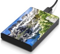 meSleep HD34252 Hard Disk Skin(Multicolor)   Laptop Accessories  (meSleep)