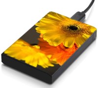 View meSleep HD35067 Hard Disk Skin(Multicolor) Laptop Accessories Price Online(meSleep)