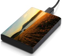 meSleep HD35190 Hard Disk Skin(Multicolor)   Laptop Accessories  (meSleep)