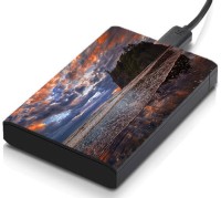 meSleep HD36335 Hard Disk Skin(Multicolor)   Laptop Accessories  (meSleep)