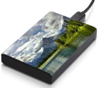 meSleep HD30094 Hard Disk Skin(Multicolor)   Laptop Accessories  (meSleep)