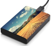 meSleep HD31025 Hard Disk Skin(Multicolor)   Laptop Accessories  (meSleep)