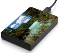 meSleep HD29307 Hard Disk Skin(Multicolor)   Laptop Accessories  (meSleep)