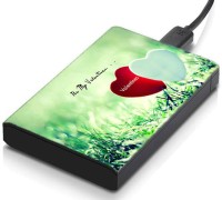 meSleep HD24101 Hard Disk Skin(Multicolor)   Laptop Accessories  (meSleep)