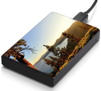 meSleep HD44039 Hard Disk Skin(Multicolor)   Laptop Accessories  (meSleep)