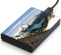 meSleep HD39229 Hard Disk Skin(Multicolor)   Laptop Accessories  (meSleep)