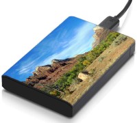 meSleep HD36334 Hard Disk Skin(Multicolor)   Laptop Accessories  (meSleep)