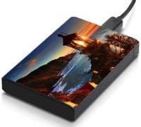 meSleep HD31089 Hard Disk Skin(Multicolor)   Laptop Accessories  (meSleep)