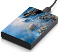 meSleep HD41061 Hard Disk Skin(Multicolor)   Laptop Accessories  (meSleep)