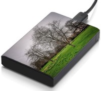 meSleep HD35388 Hard Disk Skin(Multicolor)   Laptop Accessories  (meSleep)