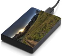 meSleep HD36211 Hard Disk Skin(Multicolor)   Laptop Accessories  (meSleep)