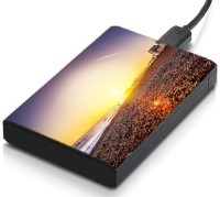 meSleep HD46082 Hard Disk Skin(Multicolor)   Laptop Accessories  (meSleep)