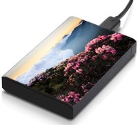 View meSleep HD36054 Hard Disk Skin(Multicolor) Laptop Accessories Price Online(meSleep)