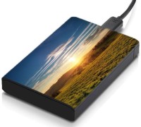 meSleep HD46166 Hard Disk Skin(Multicolor)   Laptop Accessories  (meSleep)