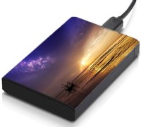 meSleep HD37367 Hard Disk Skin(Multicolor)   Laptop Accessories  (meSleep)